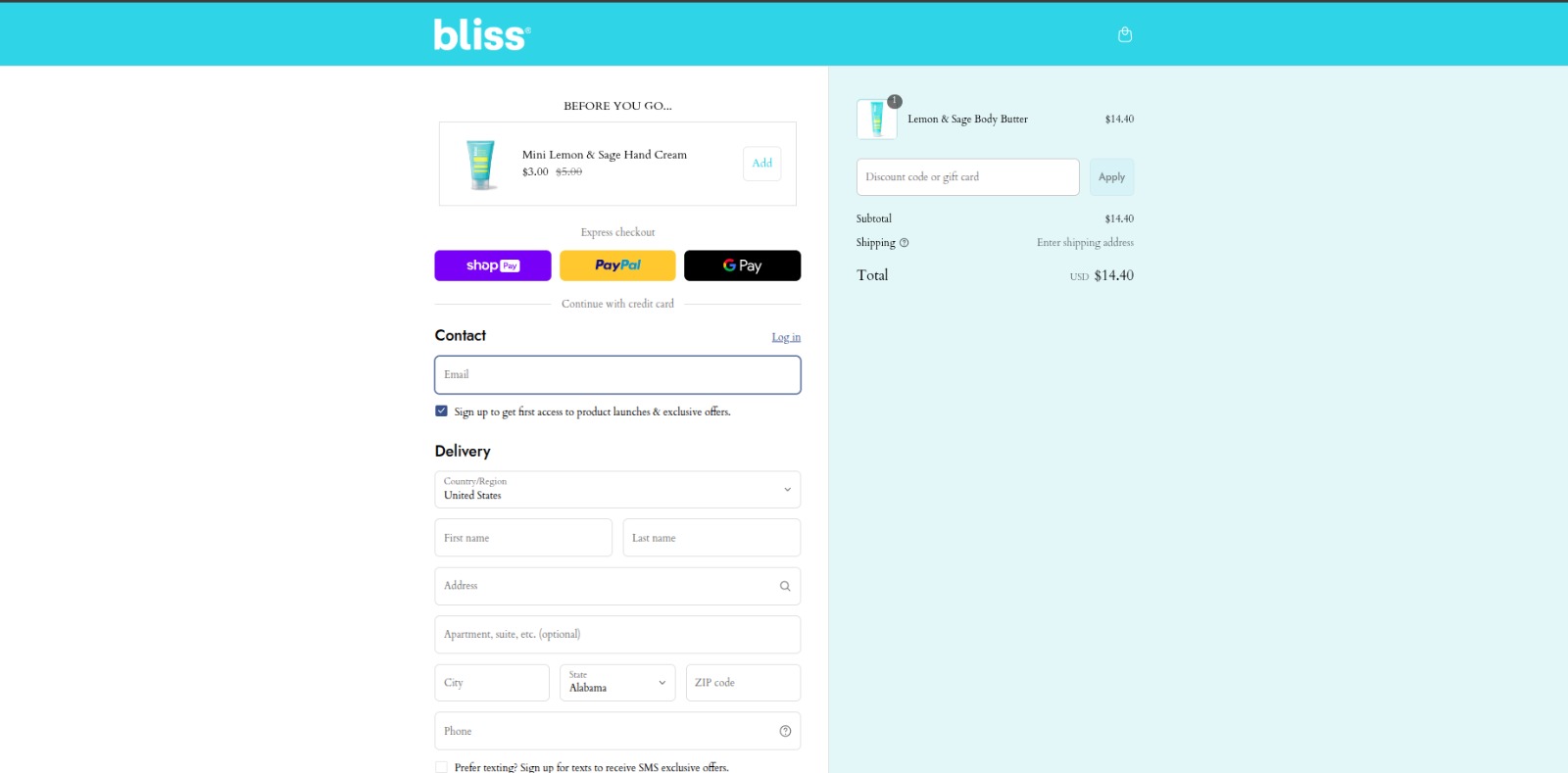 Bliss World Checkout
